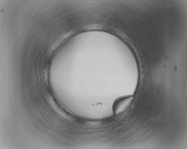 X0000051910057200507152041