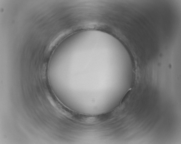 X0000051910058200507152041