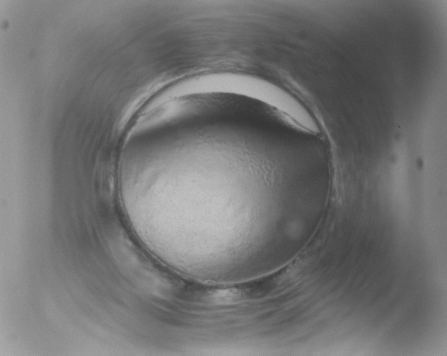 X0000051910059200507152041