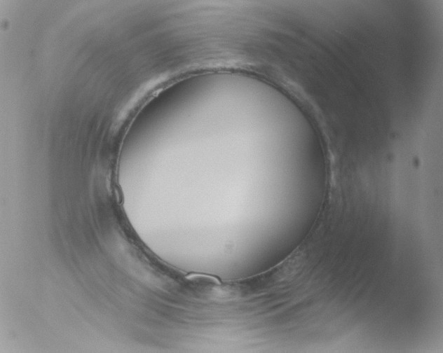 X0000051910060200507152041