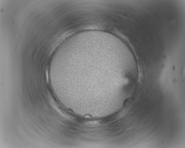 X0000051910061200507152041