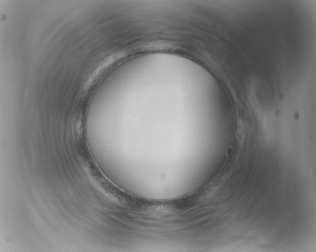 X0000051910063200507152042