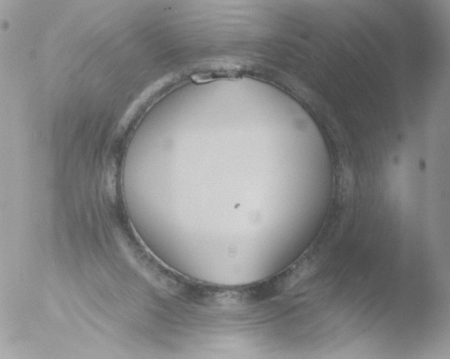 X0000051910064200507152042