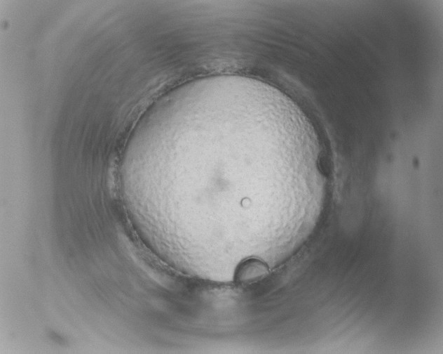 X0000051910065200507152042