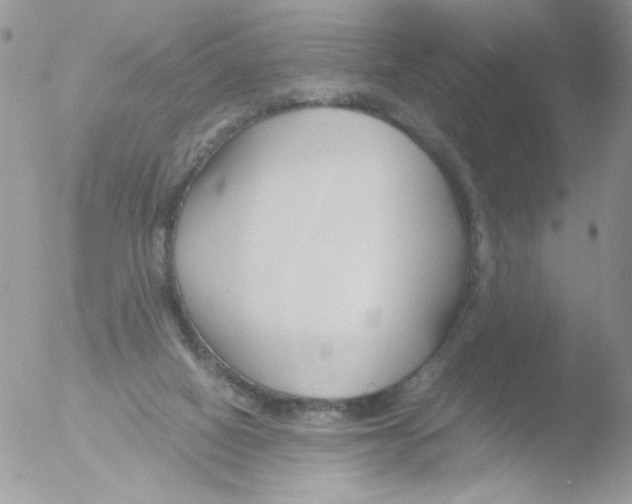 X0000051910066200507152042