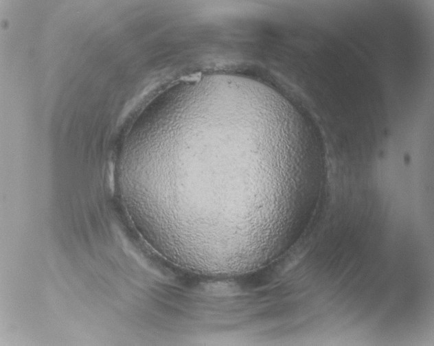 X0000051910067200507152042