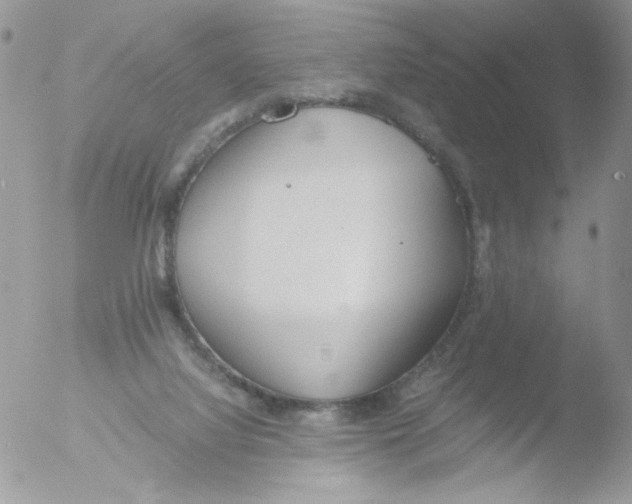 X0000051910068200507152042