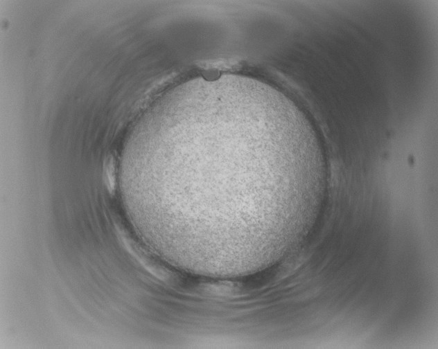 X0000051910069200507152042