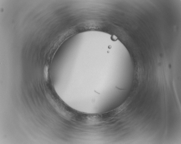 X0000051910070200507152042