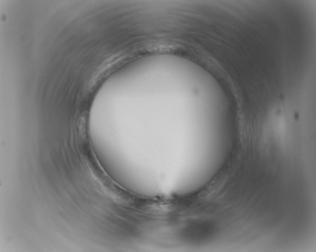 X0000051910071200507152042