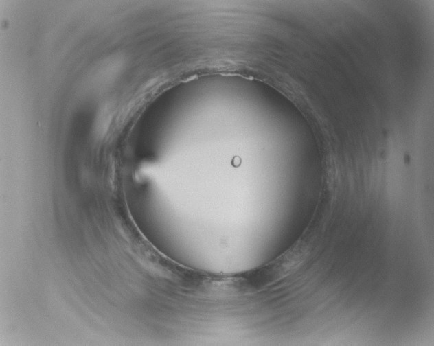 X0000051910072200507152042