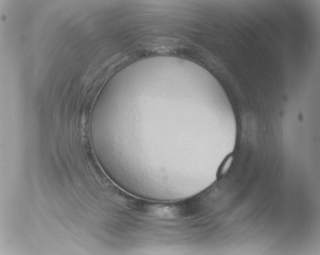 X0000051910073200507152042