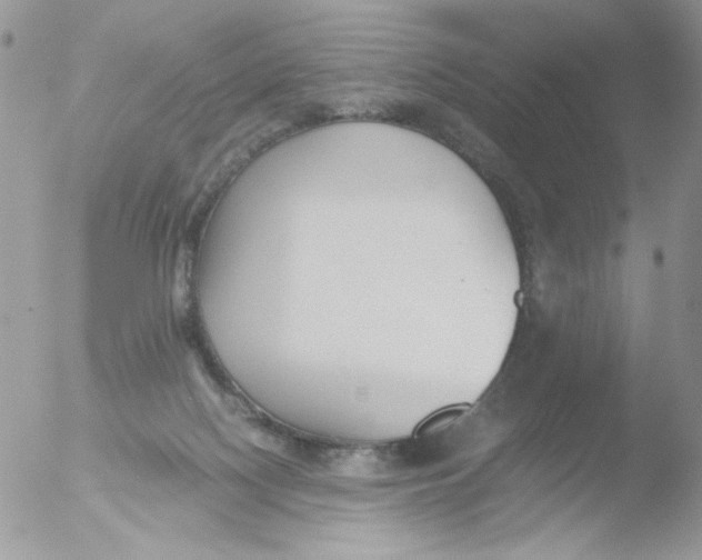 X0000051910074200507152042