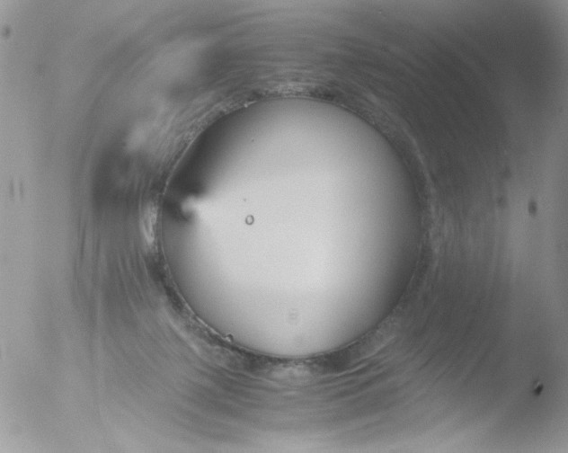 X0000051910075200507152042