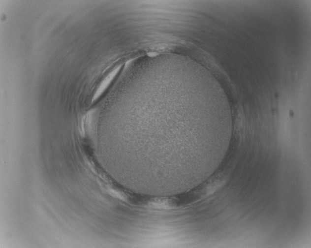 X0000051910076200507152042