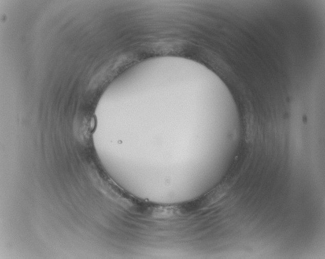 X0000051910077200507152042