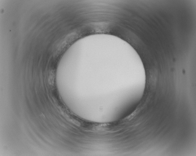 X0000051910078200507152042