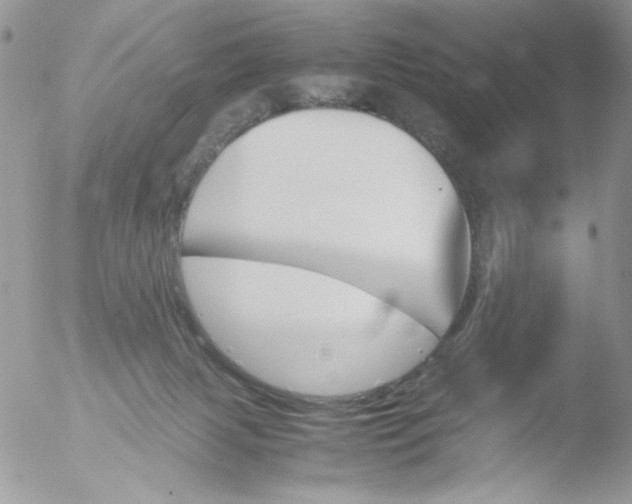 X0000051910079200507152042