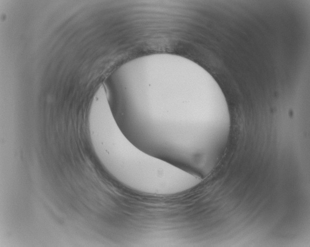 X0000051910080200507152042