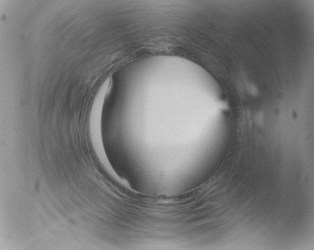 X0000051910081200507152042