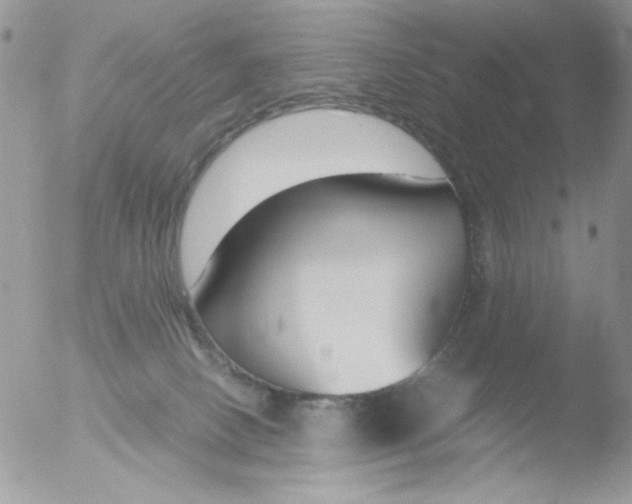 X0000051910082200507152042