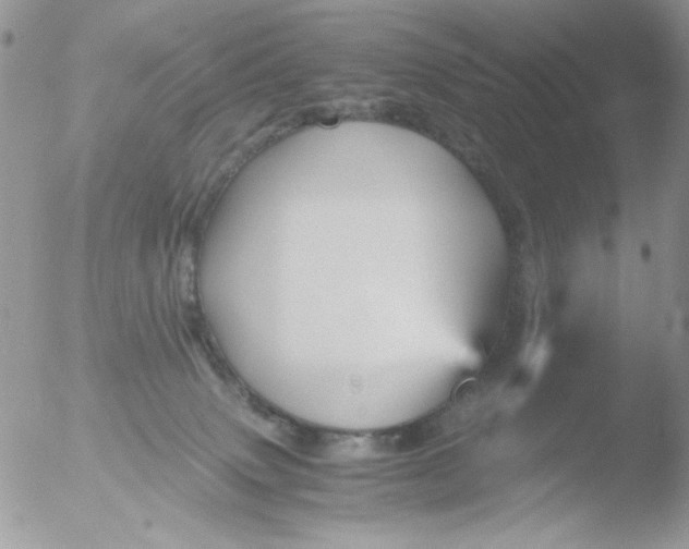 X0000051910083200507152042