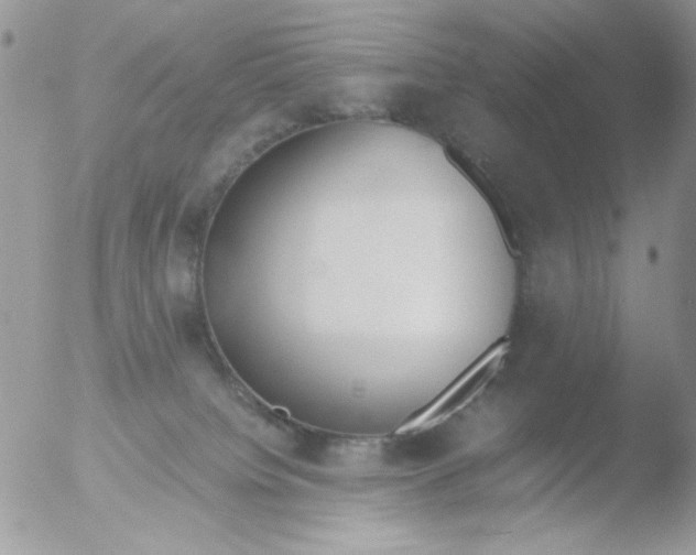 X0000051910084200507152042