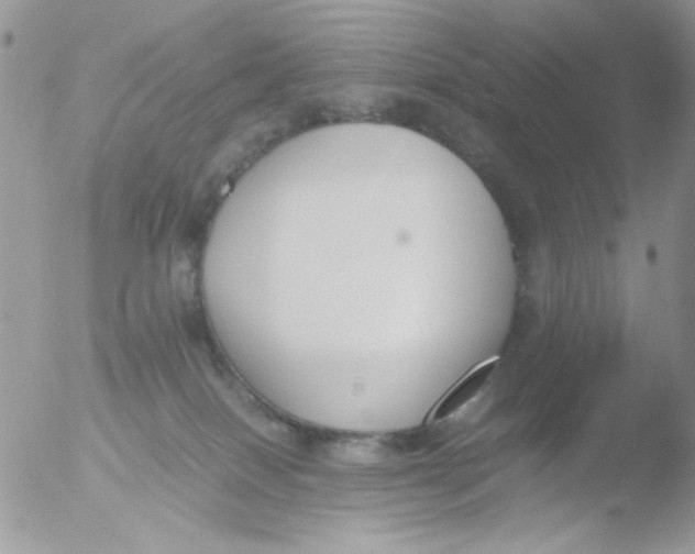 X0000051910086200507152042