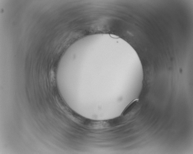 X0000051910087200507152042