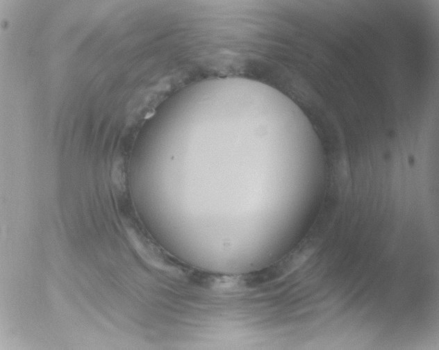 X0000051910088200507152042