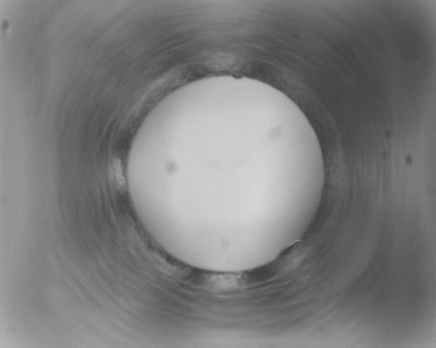 X0000051910089200507152042