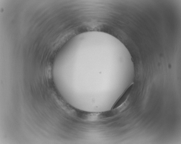 X0000051910090200507152042