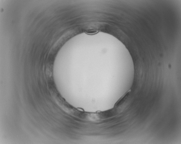 X0000051910091200507152042