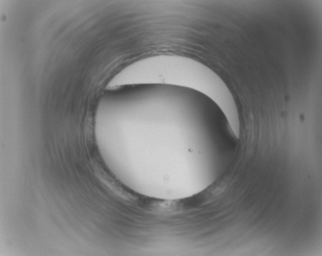 X0000051910092200507152042