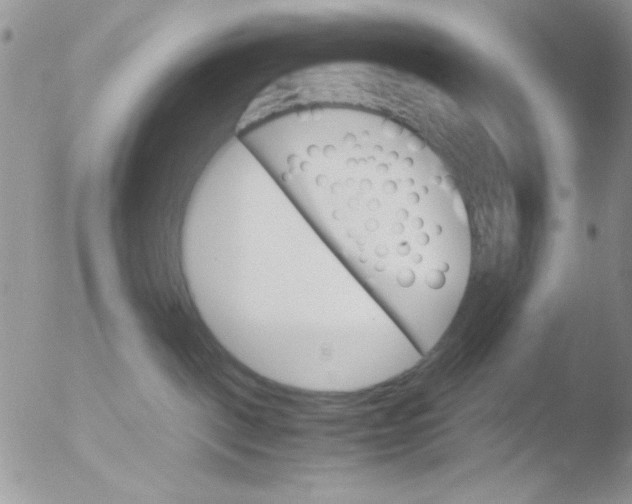 X0000051910093200507152042