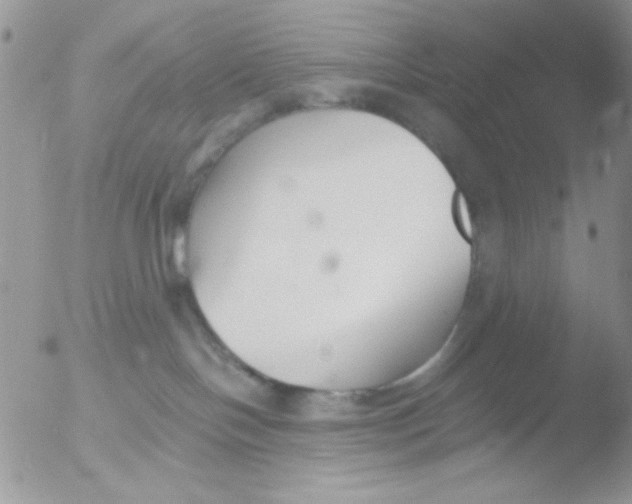 X0000051910094200507152042