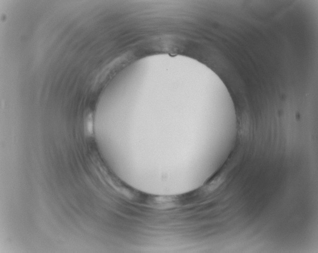 X0000051910095200507152042