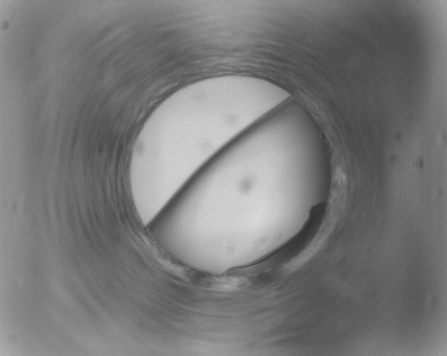 X0000051910096200507152042