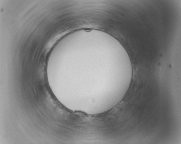 X0000051910098200507152041