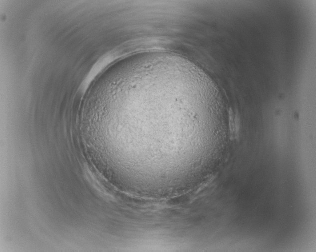 X0000051910099200507152041