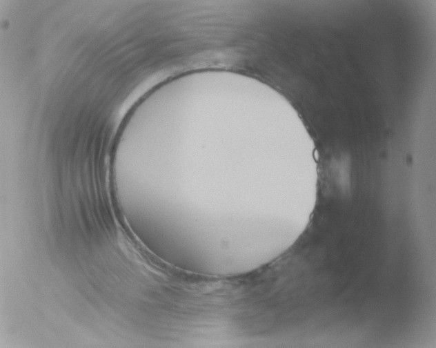 X0000051910100200507152041