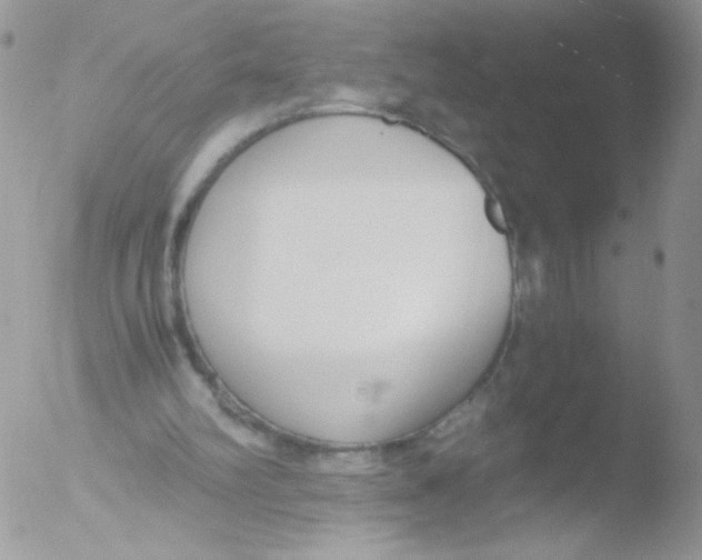 X0000051910102200507152041