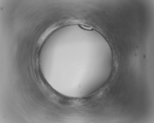 X0000051910103200507152041