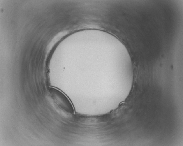 X0000051910104200507152041