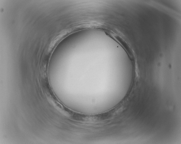 X0000051910105200507152041