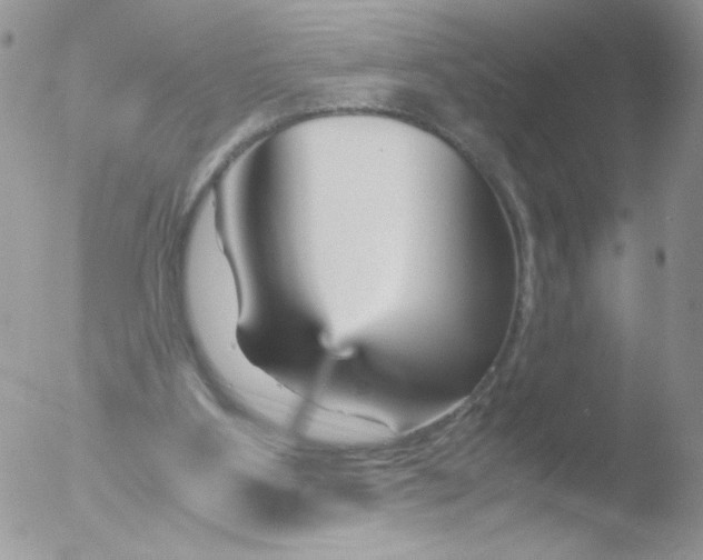 X0000051910107200507152041