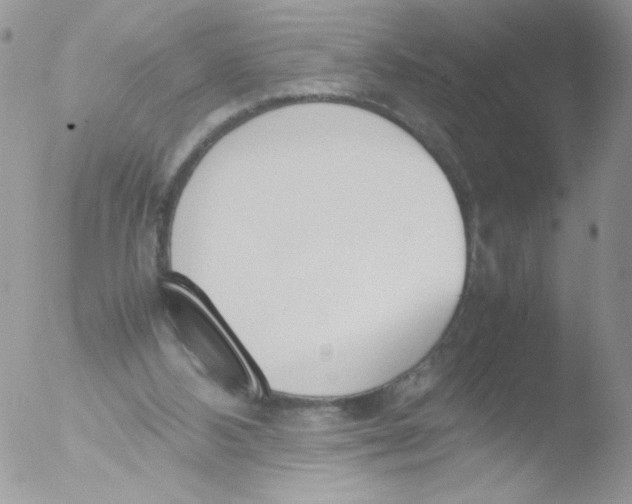 X0000051910108200507152041