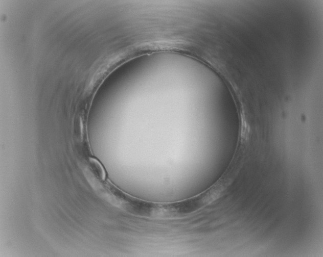 X0000051910109200507152041