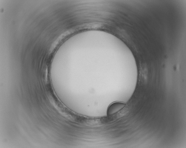 X0000051910110200507152041