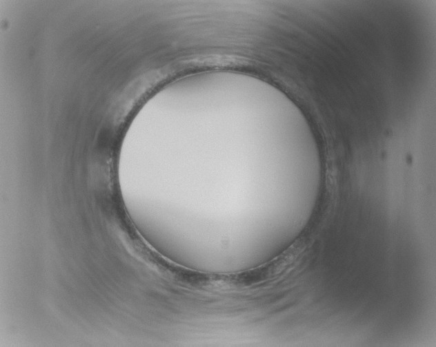 X0000051910111200507152041